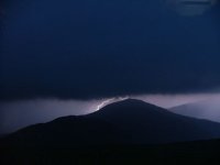 480 Gpetrics Photo.jpg