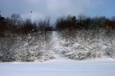 gallowshill01.jpg