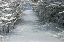 gallowshill03.jpg