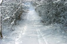 gallowshill07.jpg