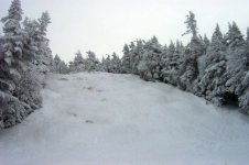 012205mrg04.jpg