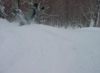 NorthGlade_tele2.JPG