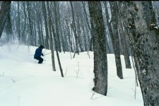 ridge5.JPG