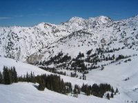 02 alta albion basin.jpg