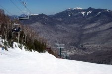 032705loon05.jpg