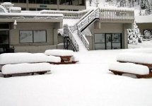 bs snowfall small size.JPG