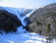 MonroeBrook032605_009s.JPG