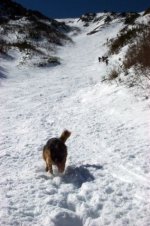 041005tuckerman11.jpg