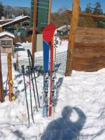 monoski.JPG