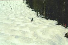 gore6.JPG