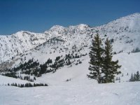 01 alta albion basin.jpg