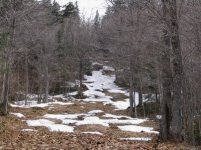 Img_0306.jpg