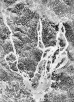 BearMtn Aerial shot.jpg