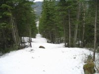 2005-05-13-14-15 029.JPG