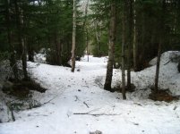 5s - #8a.JPG