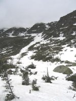 IMG_0264.JPG