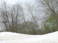 2005-05-24 010.JPG