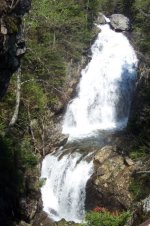 060405tuckerman01.jpg