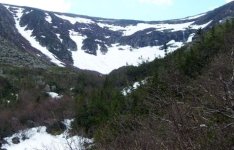 060405tuckerman06.jpg