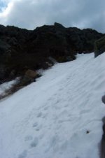 060405tuckerman11.jpg