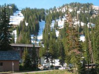 02 alta wildcat 050626.jpg