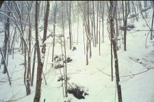ridge8.JPG
