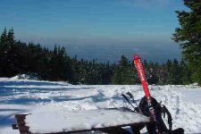 Rock Skis at the Summit.JPG