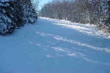 Tracks Down Carriage Road.JPG