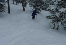Keystone Glades2.JPG