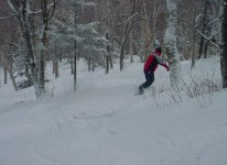 NorthGlade_snowboard.JPG
