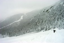 120405stowe02.jpg