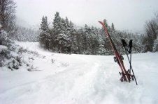 120405stowe01.jpg