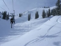 01 alta wildcat 051227.jpg