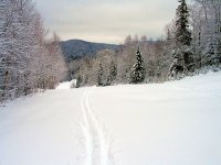 24 décembre 2005, Alta et Tremblant 008.jpg