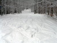 24 décembre 2005, Alta et Tremblant 012.jpg
