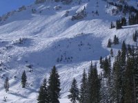 04 alta east greeley 060101.jpg