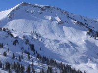 05 alta backside 060101.jpg