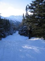 20060108SherburneTrail005s.JPG