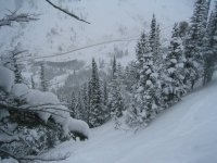 02 snowbird mach schnell woods 060120.jpg