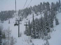 03 snowbird gadzoom 060120.jpg