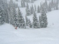 04 snowbird little cloud bottom 060120.jpg