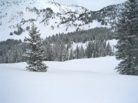 05 alta cabin hill 060307.jpg