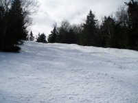 031106burke01.jpg