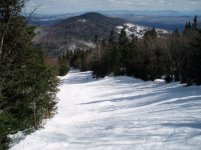 031106burke05.jpg
