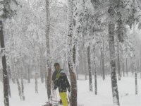 Picture 276 (Medium).jpg