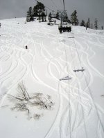 7802MyTracksAreTheBestX.JPG