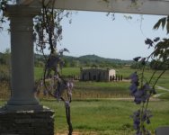 8439KarmereWisteriaWinery.JPG