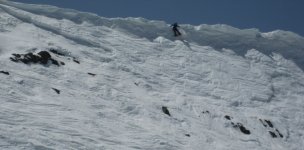 8430WallBoarder.JPG