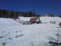 IMG-20130126-00029.jpg