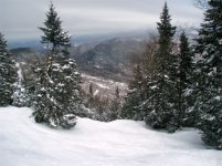 032306mgr06.jpg